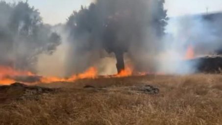 El viento agrava el incendio de Valdecaballeros (Badajoz), con ya casi 2.000 has quemadas
