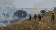 España reduce un 35 % los incendios forestales en una década, pero son más incontrolables