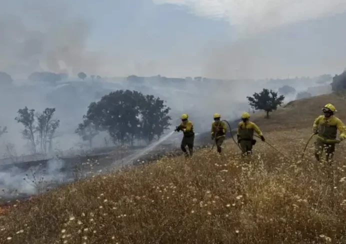España reduce un 35 % los incendios forestales en una década, pero son más incontrolables