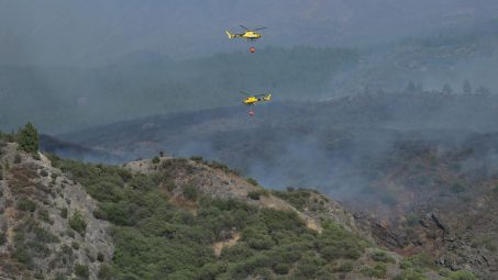 Estabilizado el incendio de Tenerife tras afectar a unas 70 hectáreas de matorral y retama