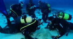 Foto de Michael J Sealey_Un grupo de investigadores realizando tareas de marcaje de un ejemplar de angelote para su estudio
