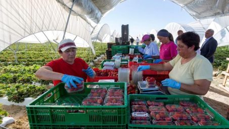La población inmigrante, elemento diferencial del crecimiento económico en España