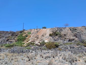 Limpieza finaliza la actuación en la ladera de Lomo Gordo tras una intervención en dos fases 3