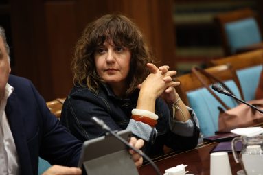 María Saavedra, diputada del GPP