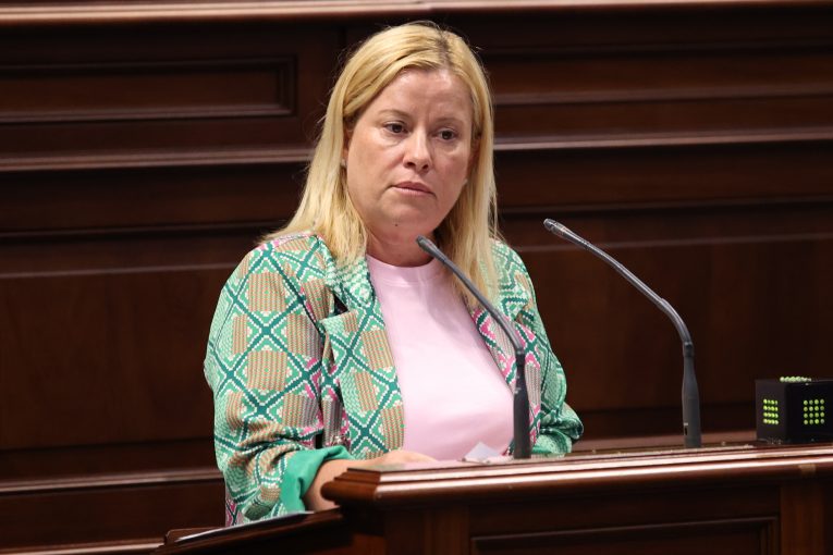 PLENO 22-7-25 (2)