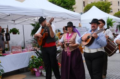 Parranda en 'Tu Distrito en Flor'