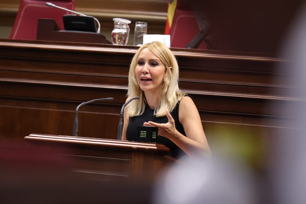 Rebeca Paniagua en el pleno del 9-7-2025