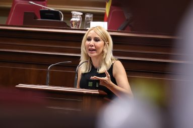 Rebeca Paniagua en el pleno del 9-7-2025