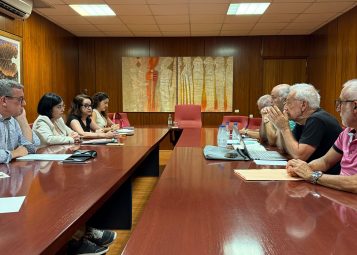 Reunión de la alcaldesa, Carolina Darias, junto a representantes vecinales de Las Torres
