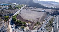 Una gran masa verde de 35 mil metros cuadrados en la entrada de Adeje para reducir su huella de carbono