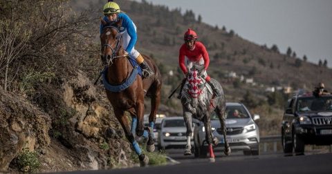 carrera-caballos-ecuestre-la-palma-canarias