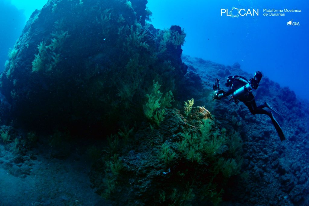proyecto Delta fotos IloveTheworld Plocan (1)