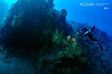 proyecto Delta fotos IloveTheworld Plocan (1)