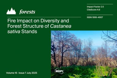 revista forests-portada