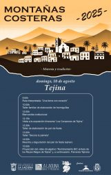 Cartel y Programa Tejina