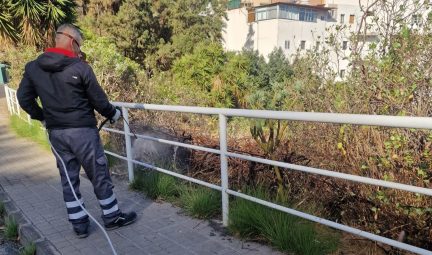 Control de plagas en Las Palmas de Gran Canaria