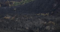 Desconfinados cuatro de los cinco pueblos del incendio de Porto (Zamora), aún en nivel 2