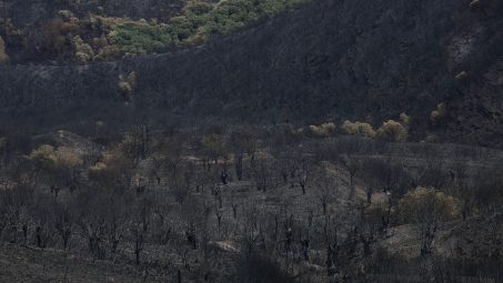 Desconfinados cuatro de los cinco pueblos del incendio de Porto (Zamora), aún en nivel 2