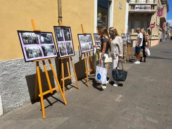 Exposición 3
