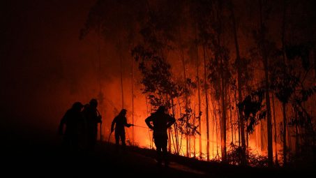 Extinguido el incendio de A Cañiza y siguen activos Vilardevós y Ponteceso en Galicia
