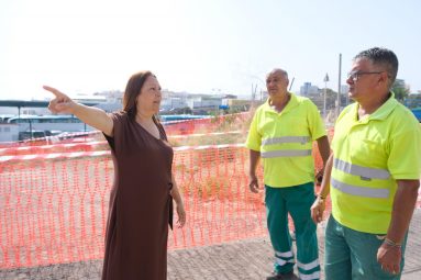 La concejala de Salud Pública, Carmen Luz Vargas, junto a trabajadores de Vías y Obras y Alumbrado en el perimetraje en La Paterna