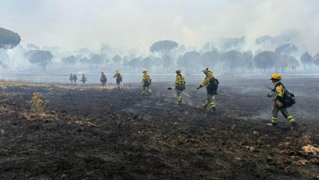 Madrid refuerza los medios para combatir el incendio de San Bartolomé de Pinares (Ávila)