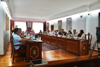 Pleno Arona Julio 2025