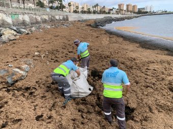 Tareas de limpieza en el barrio de San Criistóbal