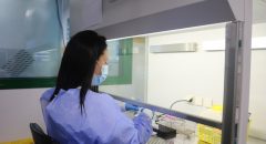 Sanidad informa de que el brote de salmonella en Gran Canaria afecta a diecisiete personas