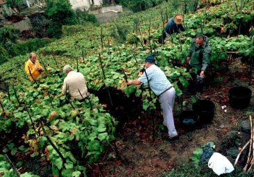 Agricultores La Victoria