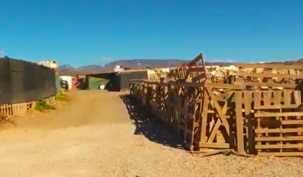 La Diputación del Común estudiará el desalojo del asentamiento de Cueva Laya