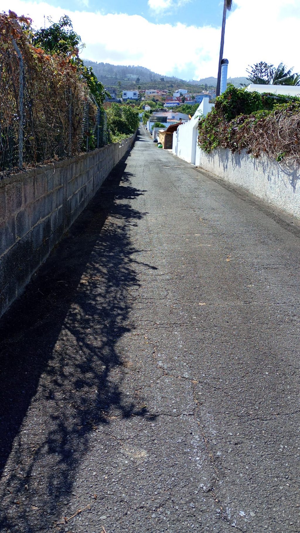 Limpieza viaria y desbroce en Santa Úrsula (2)
