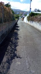 Limpieza viaria y desbroce en Santa Úrsula (2)