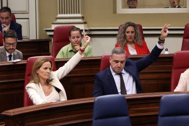PLENO 23-7-25 (10)