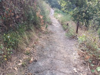 via rural 6